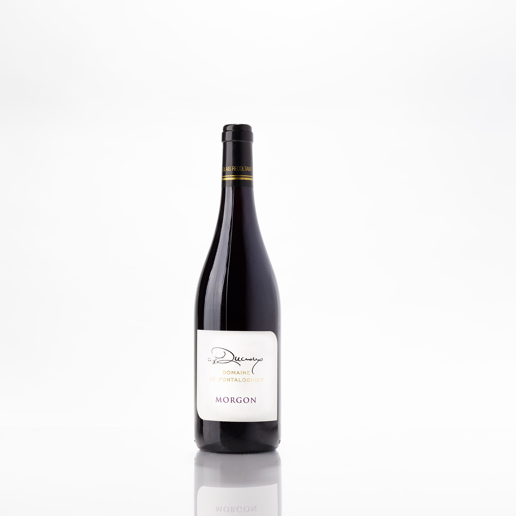 Domaine de Fontalognier Morgon 2022