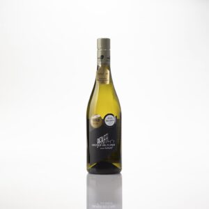Pfaffel Vom Haus Grüner Veltliner 2024